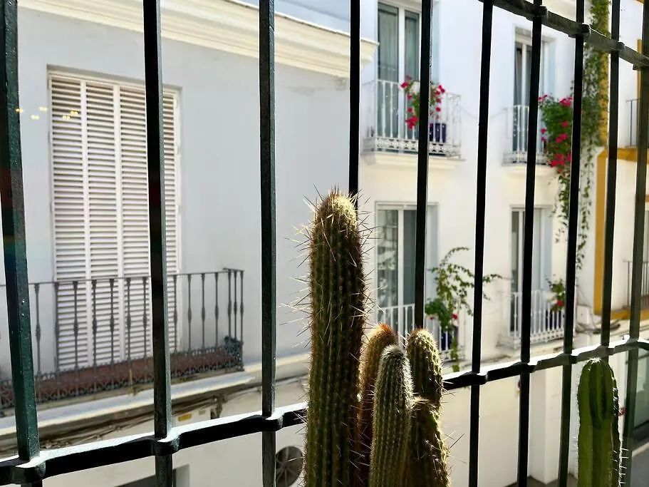 Apartamento Suite Alameda De Hercules Sevilla España